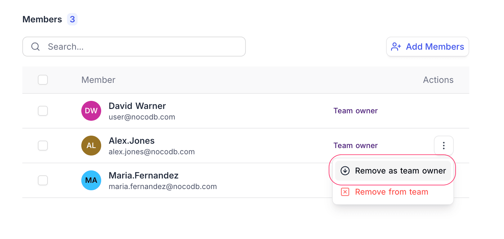 Manage Team Owner